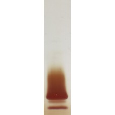 Recombinant Ole e 1 (RP-OE1-1)