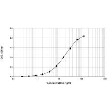 Ara h 3 ELISA 2.0 kit - Twenty-five plate (EPC-AH3-25)