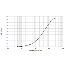 Bla g 5 ELISA 2.0 kit - Five plate (EPC-BG5-5)