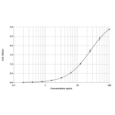 Der p 1a ELISA 2.0 kit - Five plate (EPC-DP1A-5)