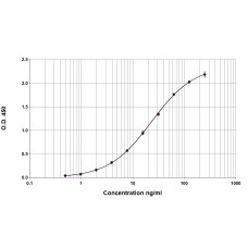 Ara h 2 ELISA 2.0 kit - Single plate (EPC-AH2-1)