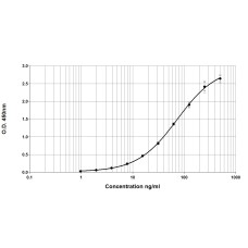 Phl p 5 ELISA 2.0 kit - Single plate pack (EPC-PP5-1)