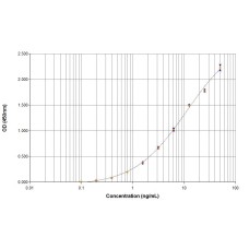 Rat n 1 ELISA 2.0 kit  - Single plate (EPC-RN1-1)