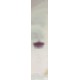 LoTox™ Recombinant Phl p 5a (LTR-PP5A-1) [Replaces 1mg Lyophilized LTR-PP5A-4]