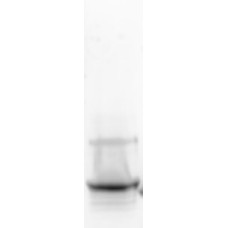 Recombinant  Pis v 1 (RE-PV1-1)