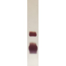 Recombinant Fel d 1 Deglycosylated (RP-FD1D-1)