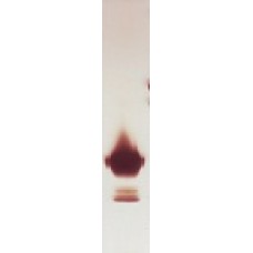 Recombinant Per a 7 (Tropomyosin) (RP-PA7-1)