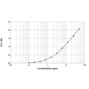 NBos d 5 graph