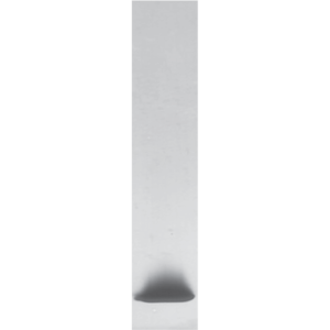 Natural Der f 2 Molecular Reference Std. (MRS-NDF2-1)